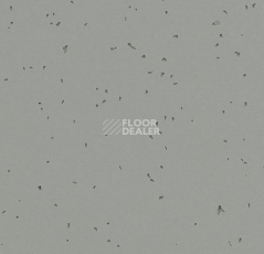 Линолеум Forbo Sphera Energetic 50216 pigeon фото 1 | FLOORDEALER